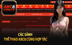 Các Sảnh Thể Thao ABC8 Cùng Hợp Tác