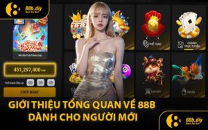 Giới Thiệu Tổng Quan Về 88B Dành Cho Người Mới